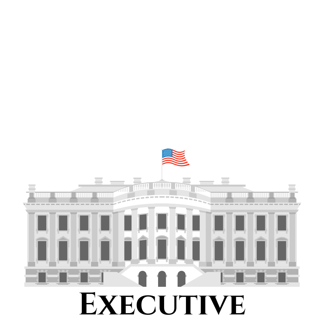 Making Law 101 U.S. Donor Conceived Council